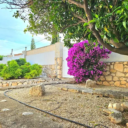 Lilly * Calpe